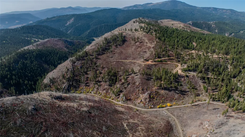 Tbd Packer Gulch Road Drummond MT 59832