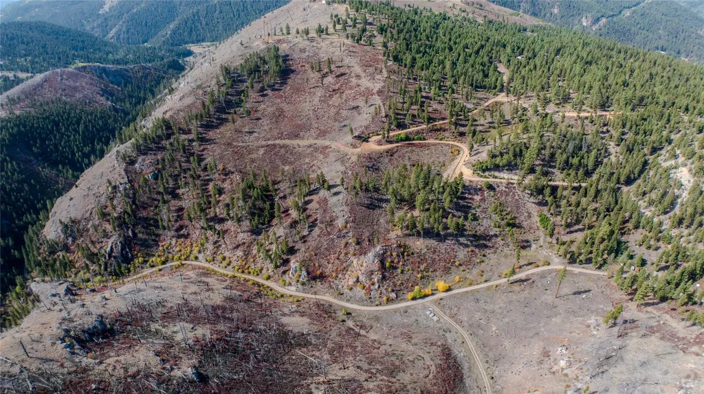 Tbd Packer Gulch Road Drummond MT 59832