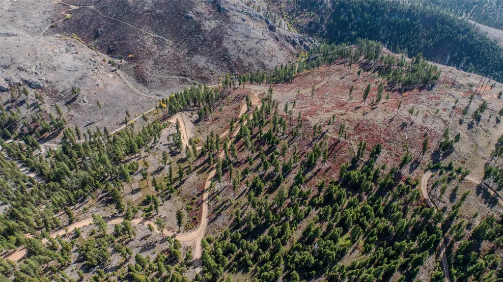 Tbd Packer Gulch Road Drummond MT 59832