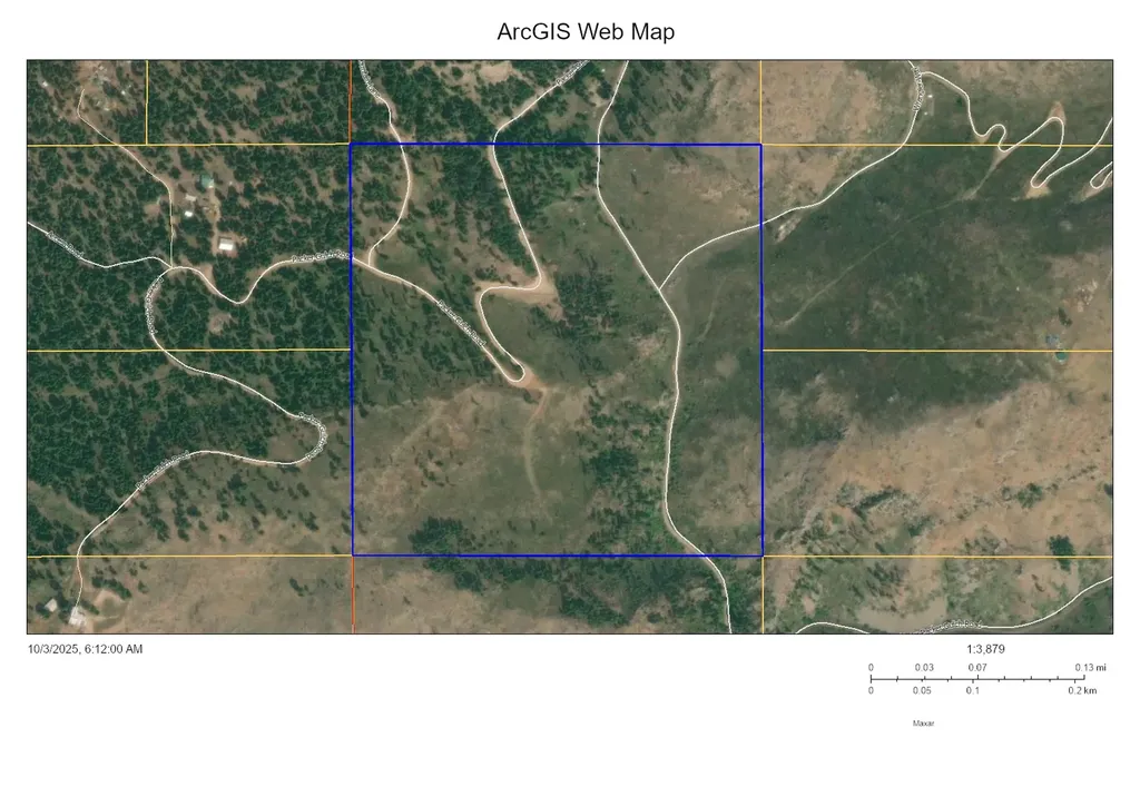 Tbd Packer Gulch Road Drummond MT 59832