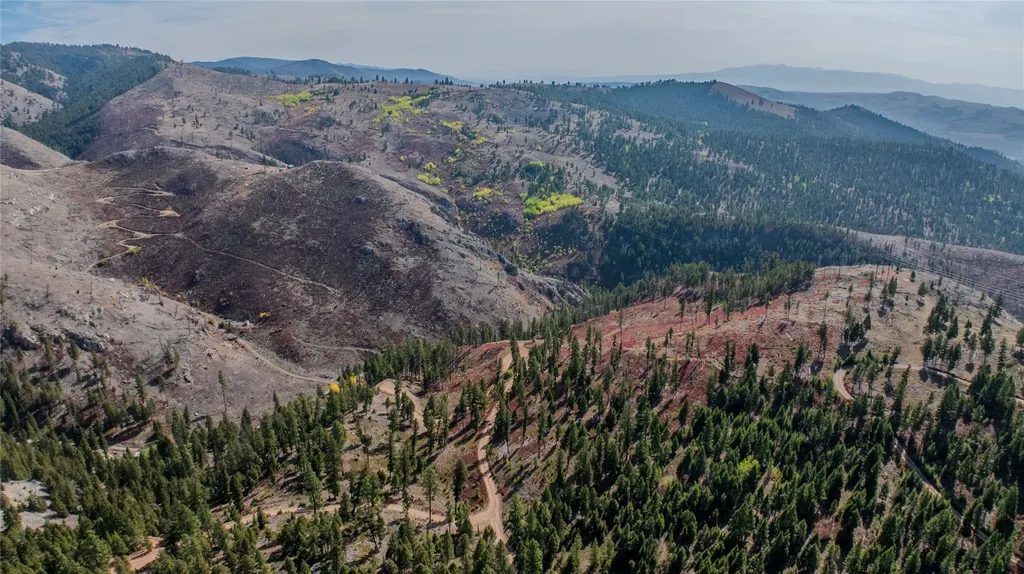 Tbd Packer Gulch Road Drummond MT 59832