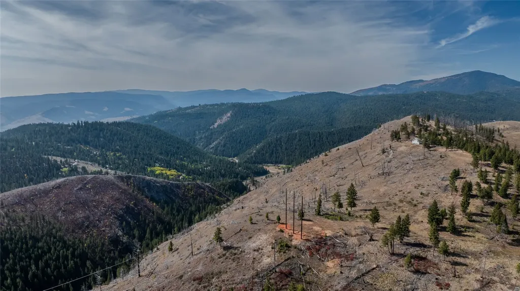 Tbd Packer Gulch Road Drummond MT 59832