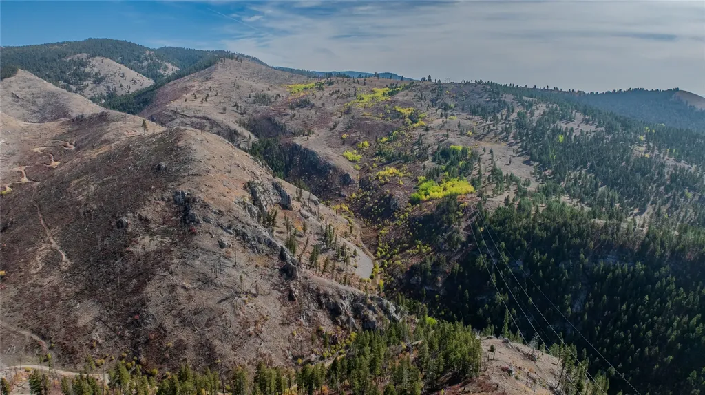 Tbd Packer Gulch Road Drummond MT 59832