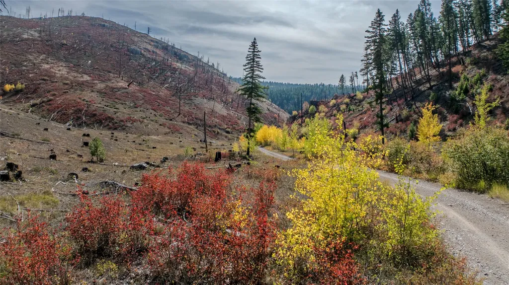 Tbd Packer Gulch Road Drummond MT 59832