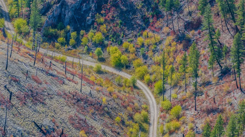 Tbd Packer Gulch Road Drummond MT 59832