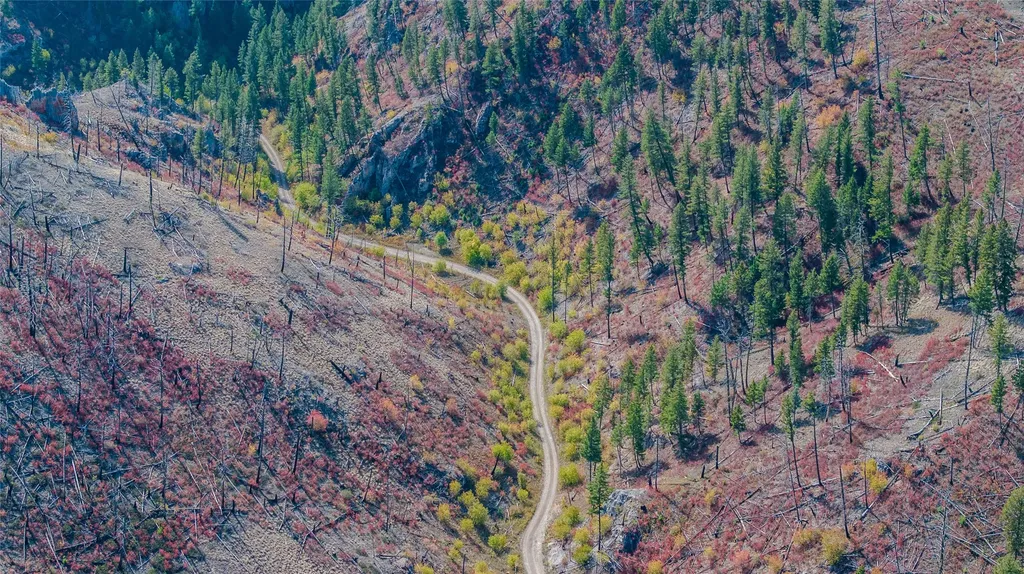 Tbd Packer Gulch Road Drummond MT 59832