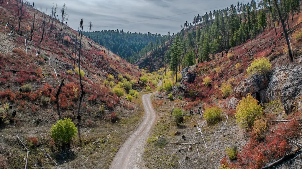 Tbd Packer Gulch Road Drummond MT 59832