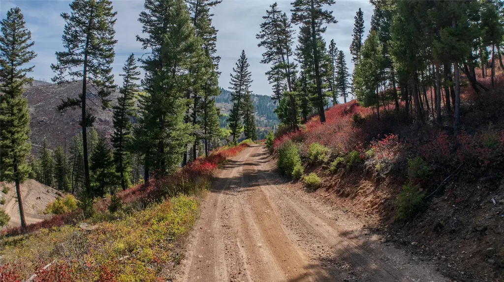 Tbd Packer Gulch Road Drummond MT 59832