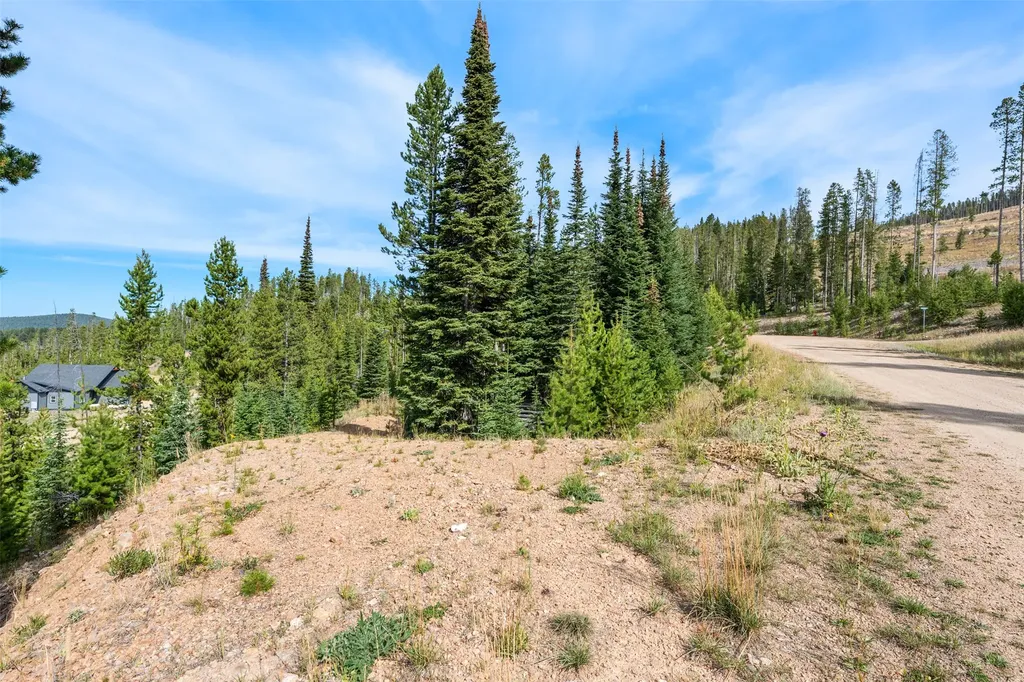 Nhn Miners Road Anaconda MT 59711