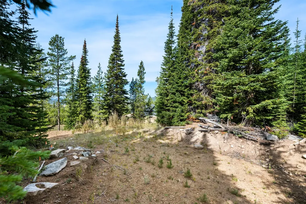Nhn Miners Road Anaconda MT 59711