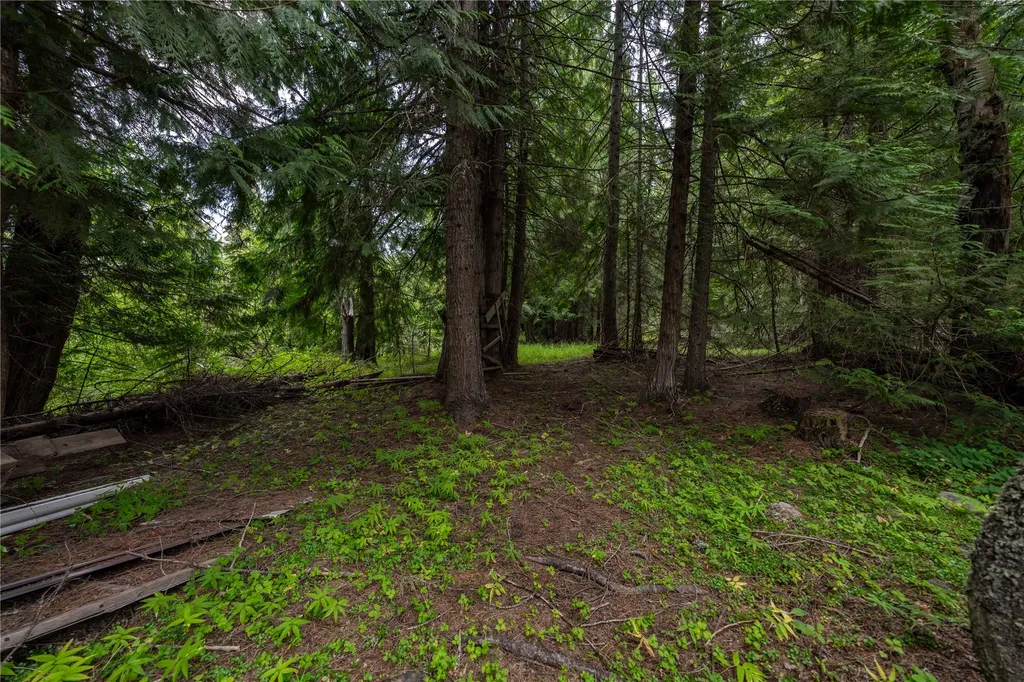 115 Thornton Lane Yaak MT 59935