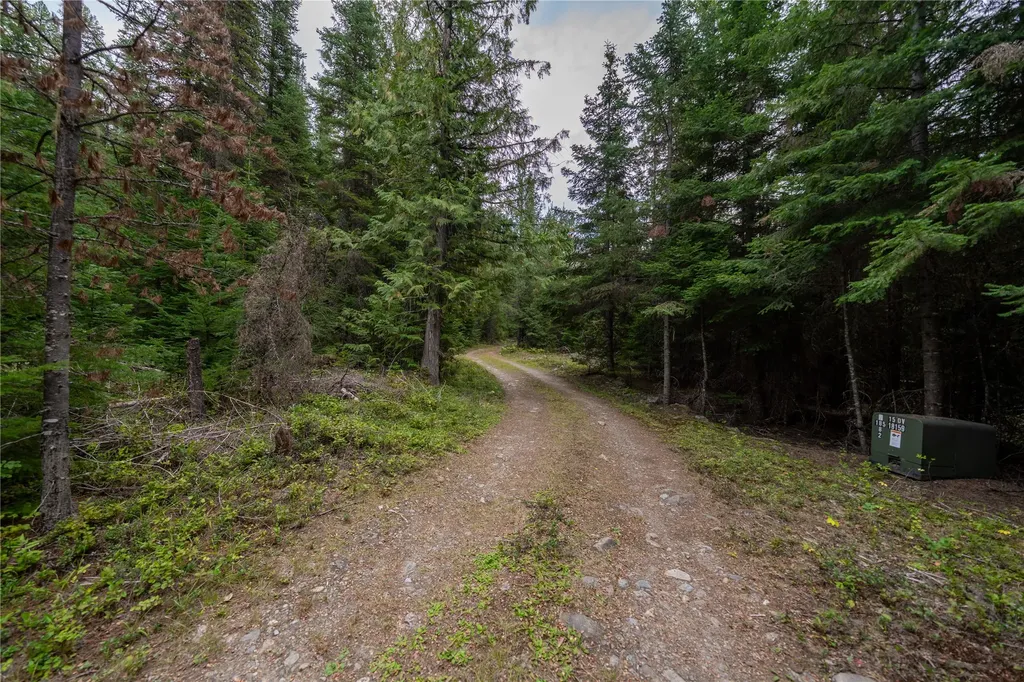 115 Thornton Lane Yaak MT 59935