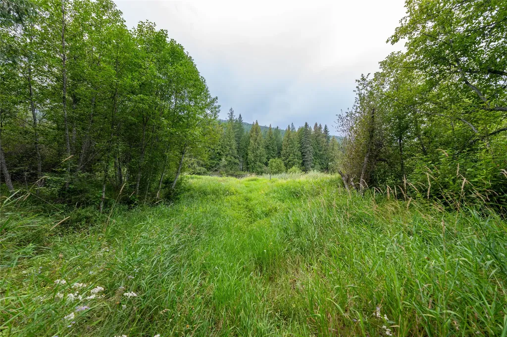 115 Thornton Lane Yaak MT 59935