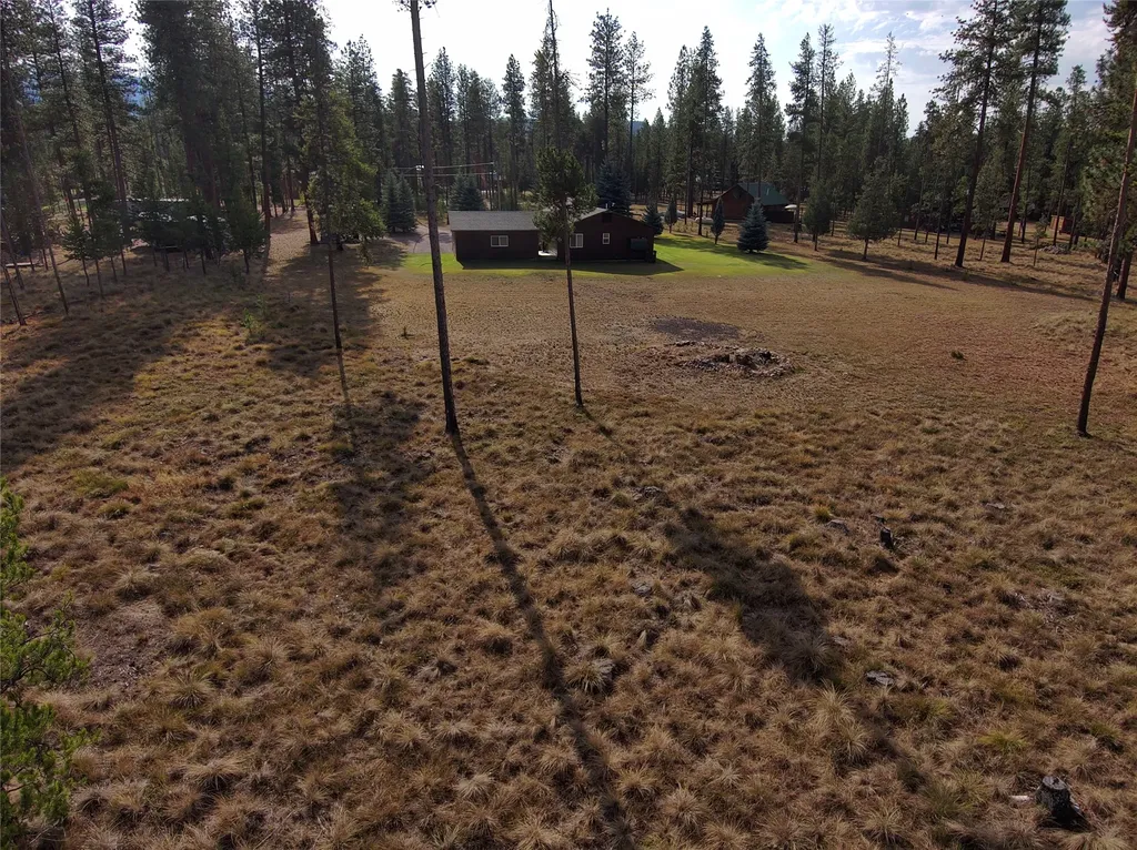 167 Wild Turkey Court Seeley Lake MT 59868