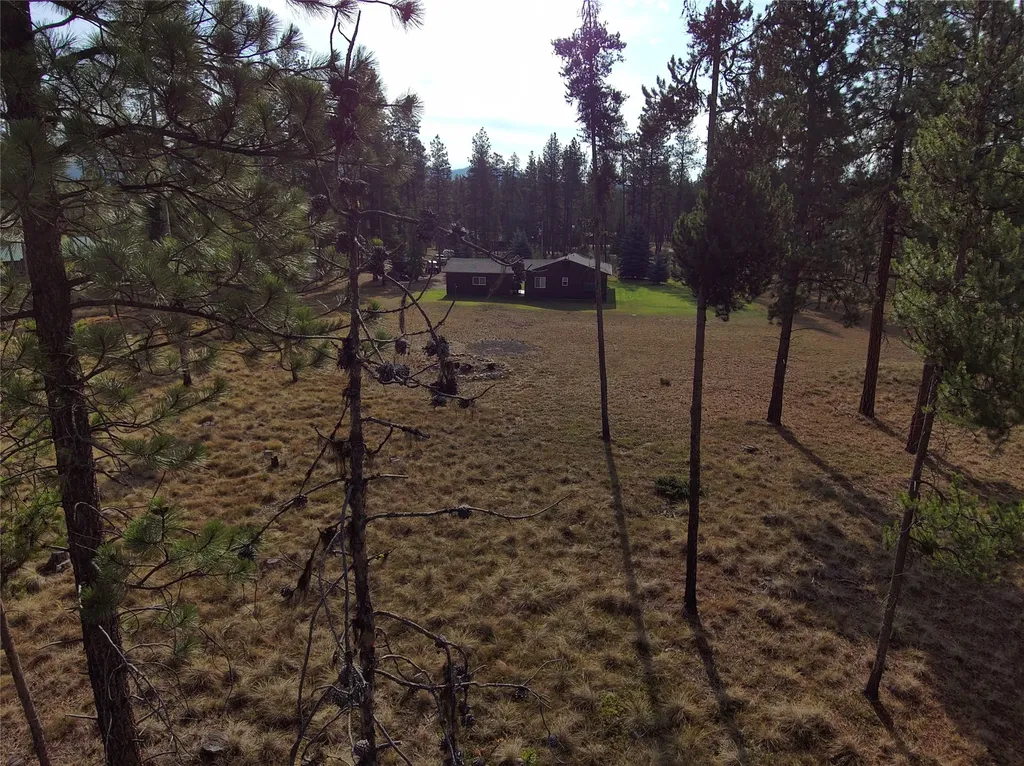 167 Wild Turkey Court Seeley Lake MT 59868