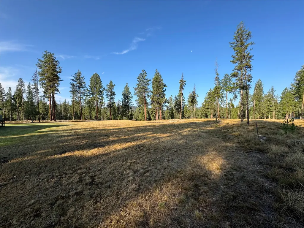 167 Wild Turkey Court Seeley Lake MT 59868