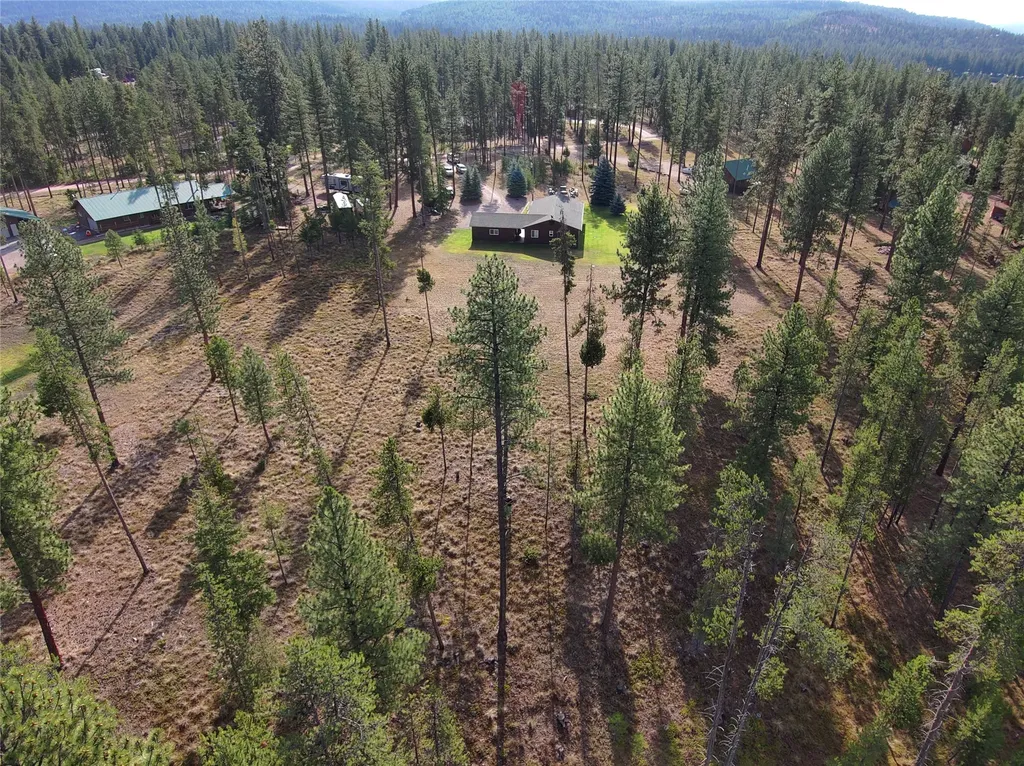 167 Wild Turkey Court Seeley Lake MT 59868