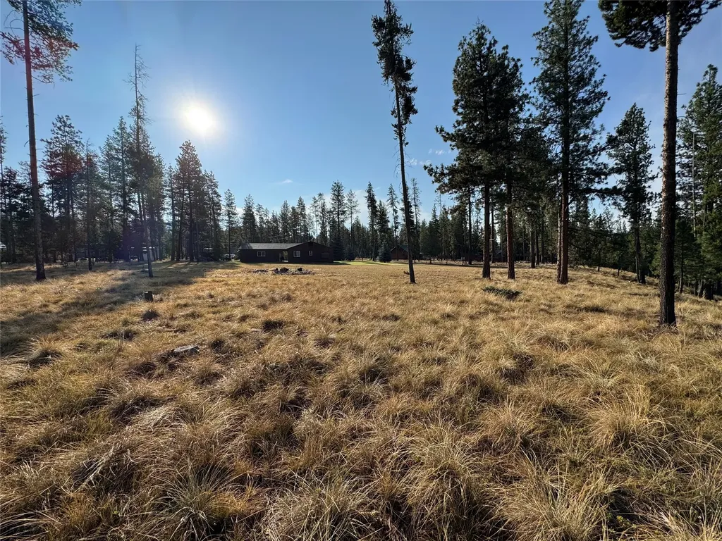 167 Wild Turkey Court Seeley Lake MT 59868
