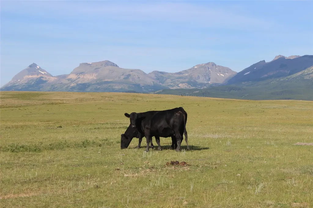 Nhn Us Highway 2 East Glacier Park MT 59434