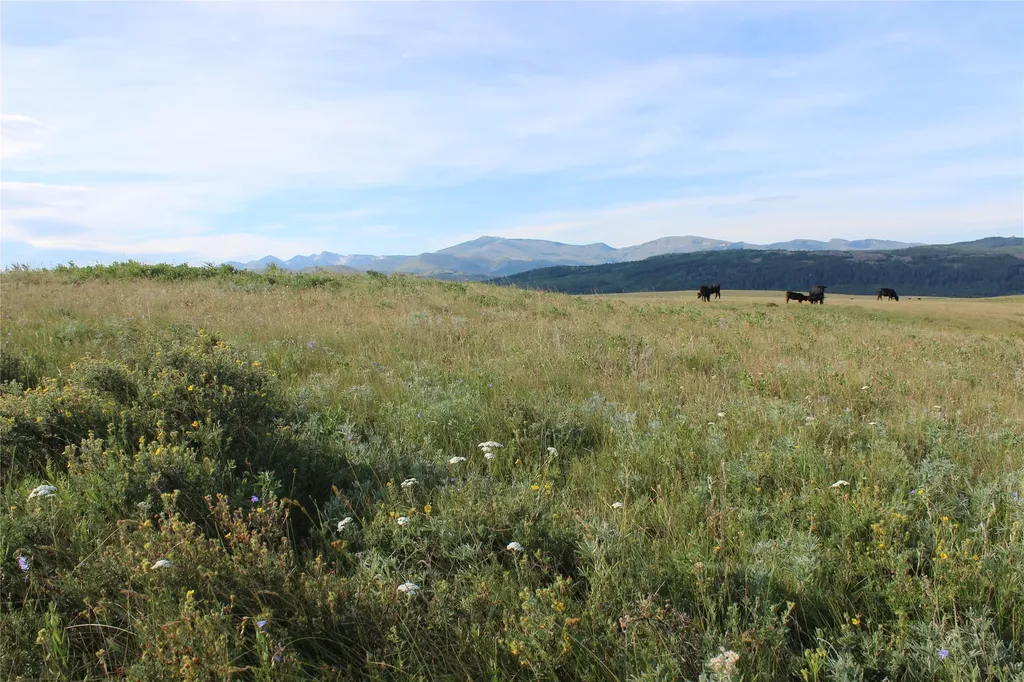Nhn Us Highway 2 East Glacier Park MT 59434