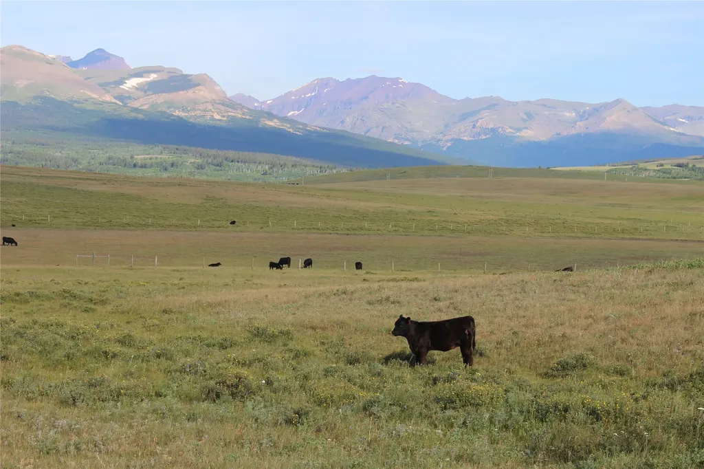 Nhn Us Highway 2 East Glacier Park MT 59434