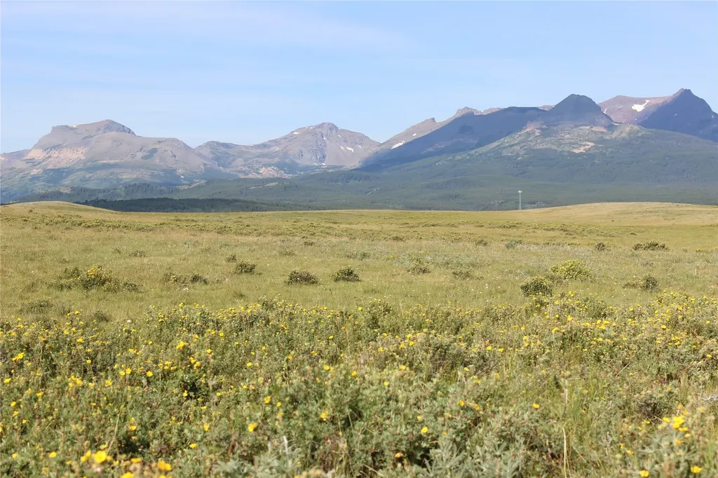 Nhn Us Highway 2 East Glacier Park MT 59434