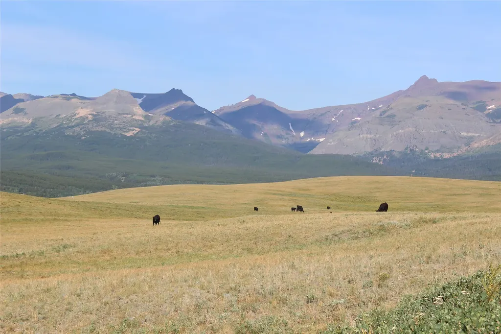 Nhn Us Highway 2 East Glacier Park MT 59434