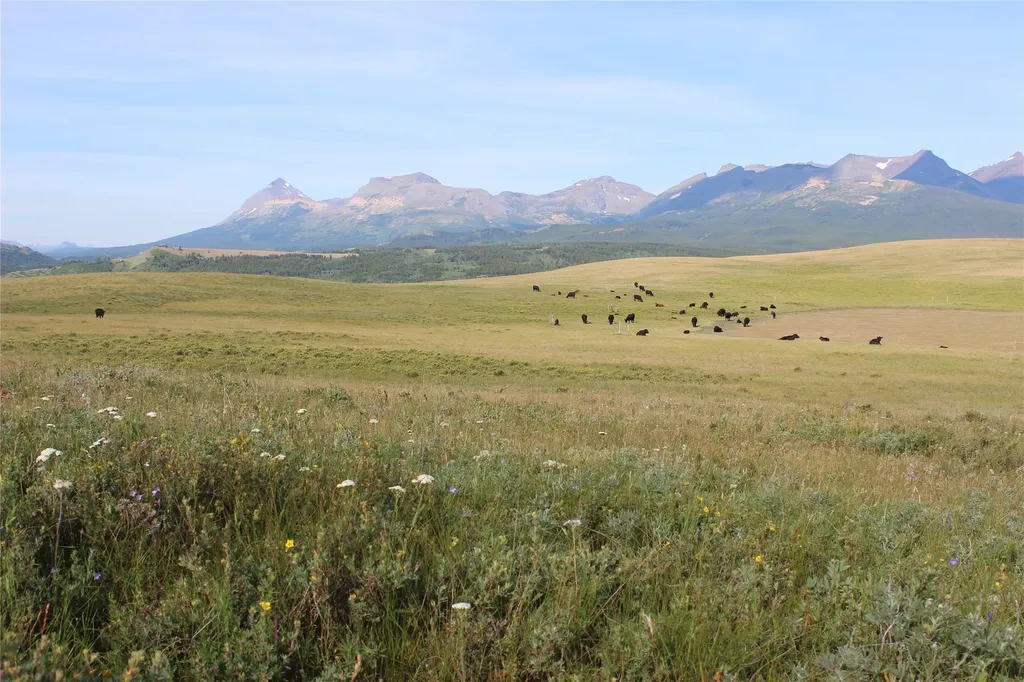 Nhn Us Highway 2 East Glacier Park MT 59434