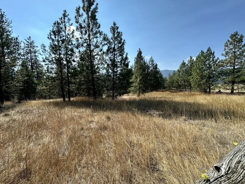 5476 Mt Highway 200 Thompson Falls MT 59873