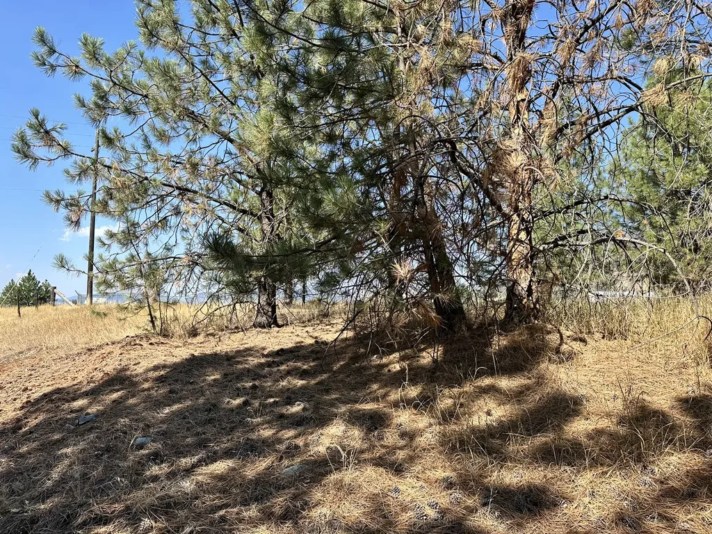 5476 Mt Highway 200 Thompson Falls MT 59873