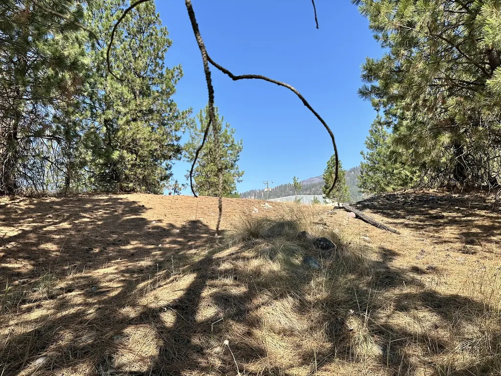 5476 Mt Highway 200 Thompson Falls MT 59873