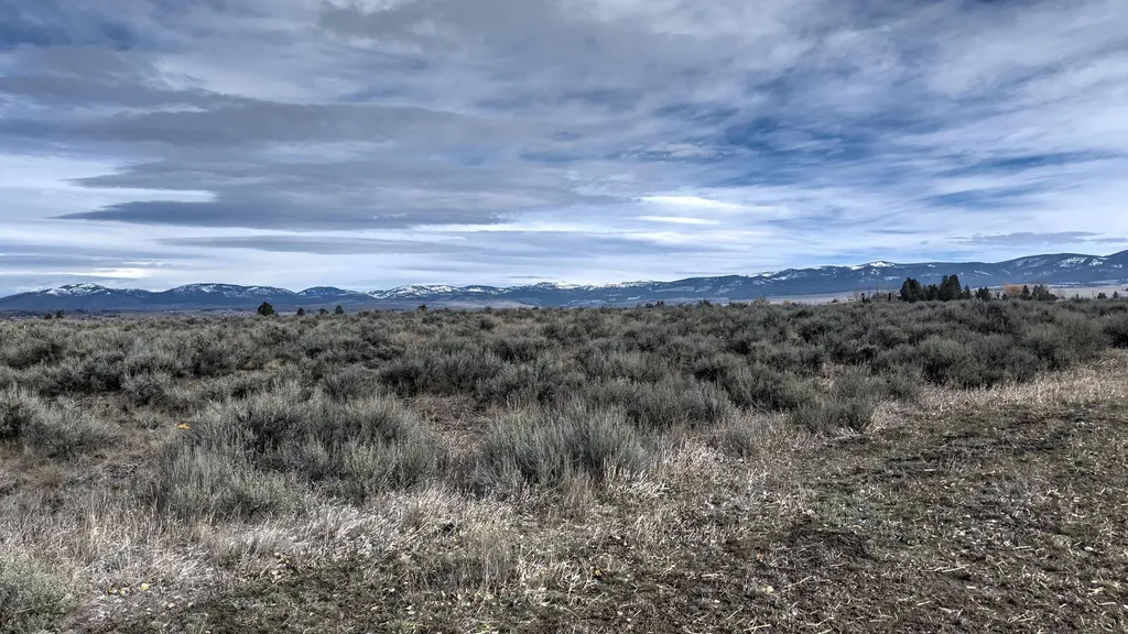 982 Foxy Lane Stevensville MT 59870
