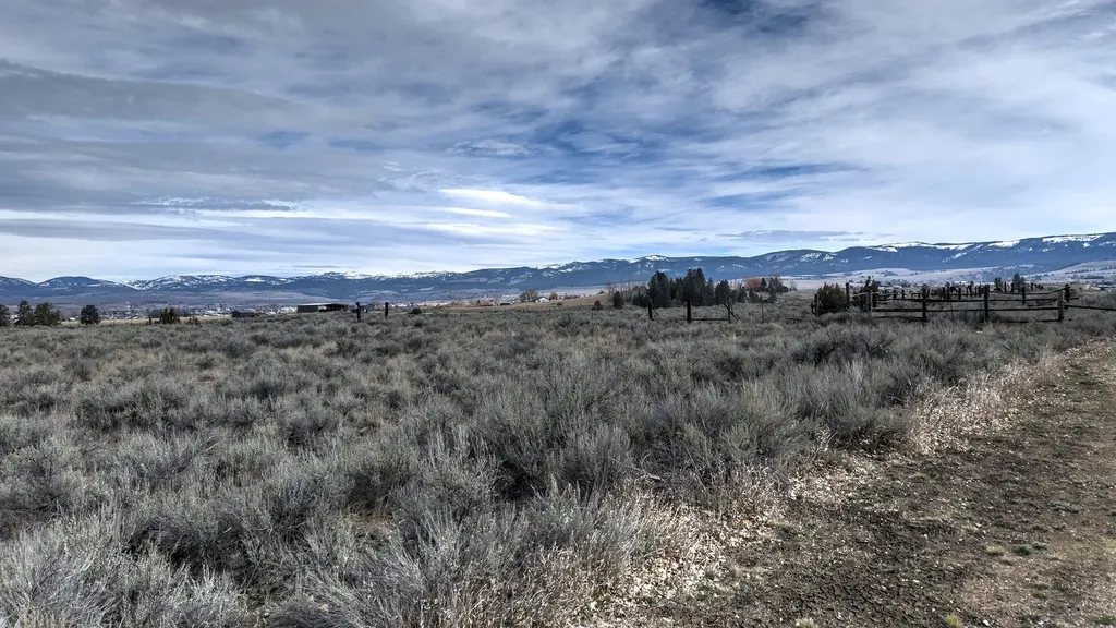 982 Foxy Lane Stevensville MT 59870