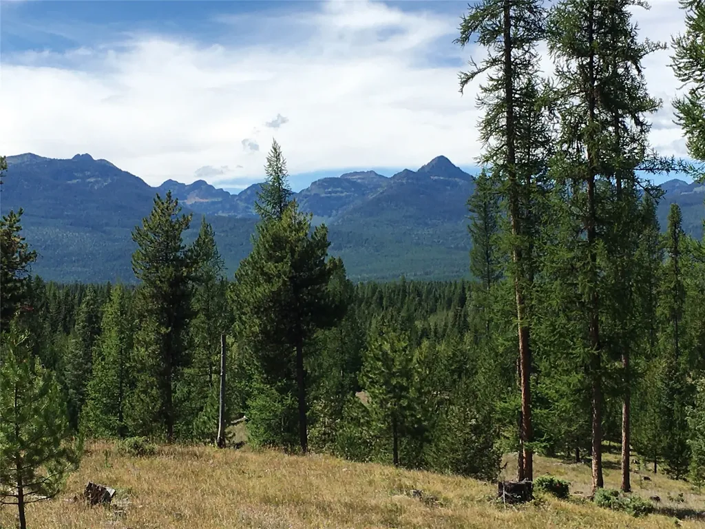 355 Tanager Trail Condon MT 59826