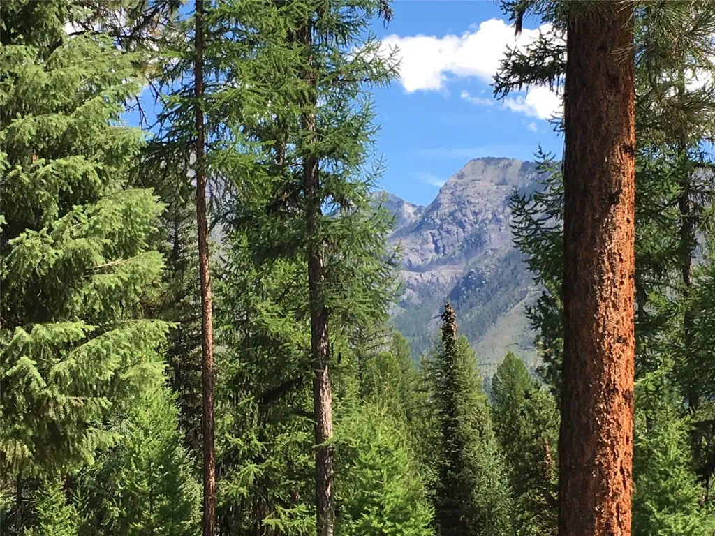 355 Tanager Trail Condon MT 59826