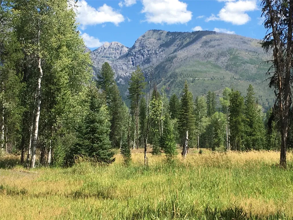 355 Tanager Trail Condon MT 59826