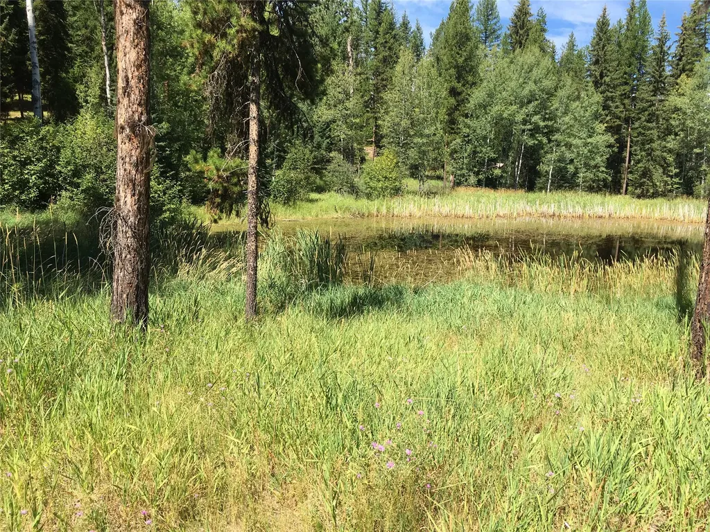 355 Tanager Trail Condon MT 59826