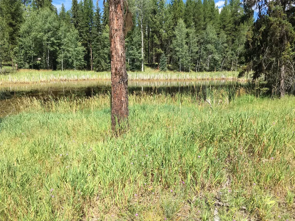 355 Tanager Trail Condon MT 59826