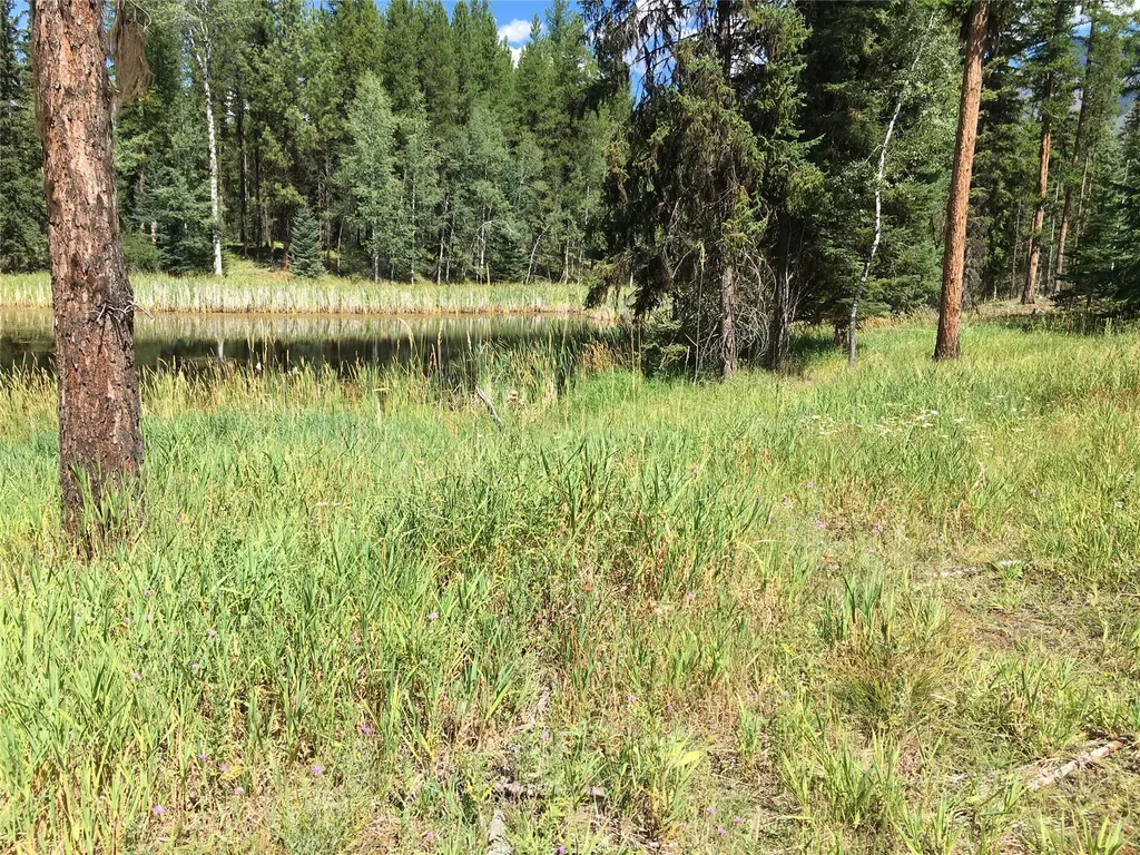 355 Tanager Trail Condon MT 59826