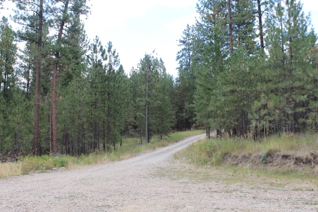 80 Old Hot Springs Road Hot Springs MT 59845