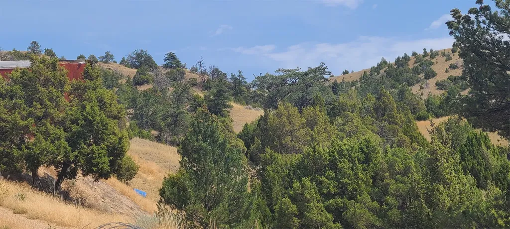 351 Broken Creek Road Three Forks MT 59752
