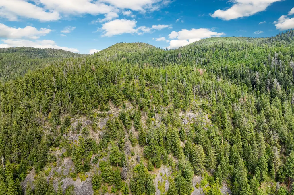 20322 Mount Highway 35 Bigfork MT 59911
