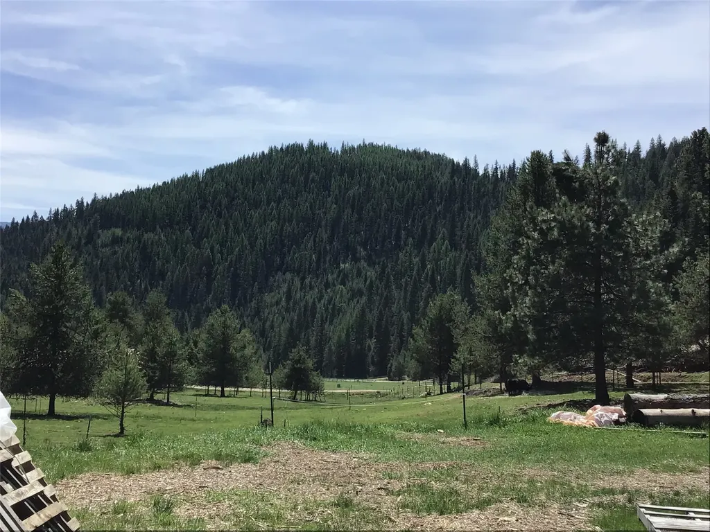 360 Valley Drive De Borgia MT 59830