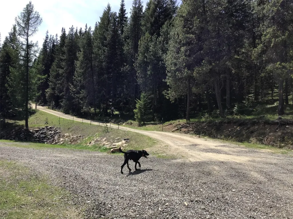 360 Valley Drive De Borgia MT 59830