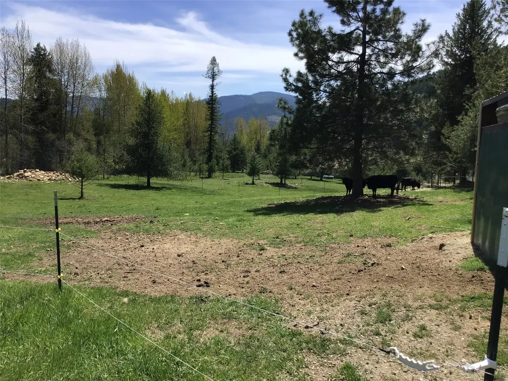 360 Valley Drive De Borgia MT 59830
