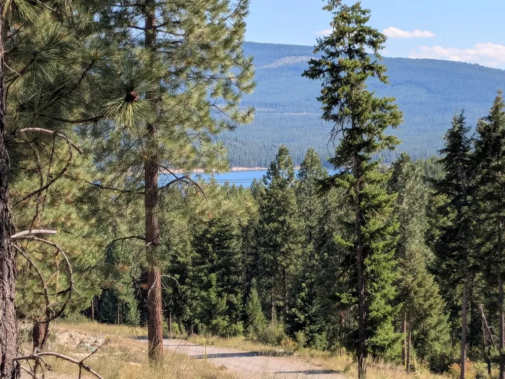 1 Montana Wild Drive Libby MT 59923