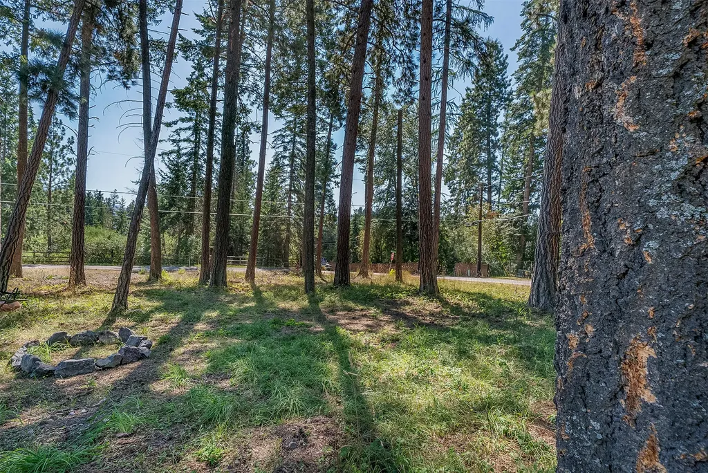 Nhn Yenne Point Road Bigfork MT 59911