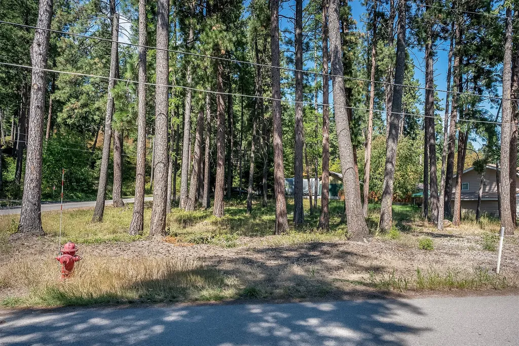 Nhn Yenne Point Road Bigfork MT 59911