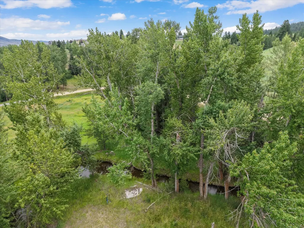 12458 Nature Court Lolo MT 59847