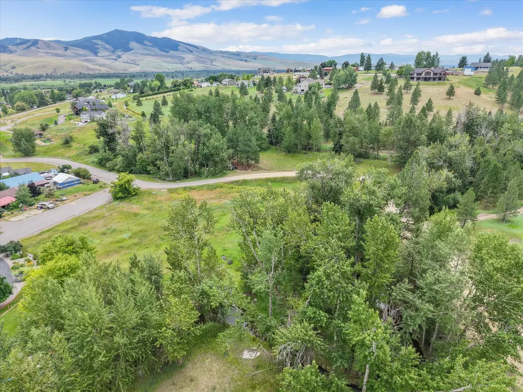 12458 Nature Court Lolo MT 59847